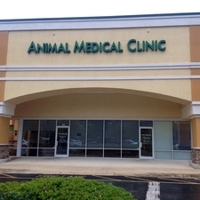 download animal medical center